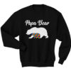 Papa Bear Autism Dad Gift Sweatshirt