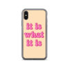 What it is iPhone Case