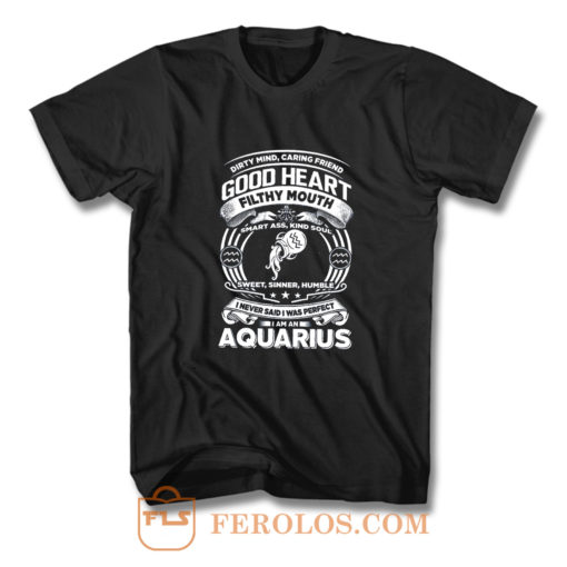 Aquarius Good Heart Filthy Mount T Shirt