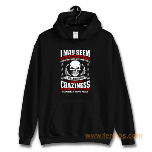 May Seem Calm And Reserved Hoodie