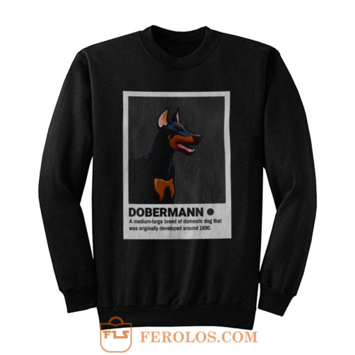 Doberman Dog Lovers Sweatshirt