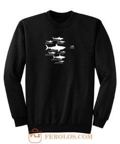 Shark Diving Sweatshirt